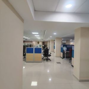 Lights works for Office