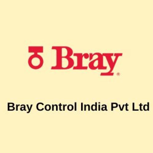 Bray Control India Pvt Ltd Supply and Installation of cable trays, race ways, cable laying, cable termination, point wiring and light fixtures